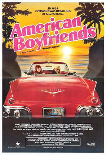 Póster de American Boyfriends