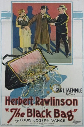 Póster de The Black Bag