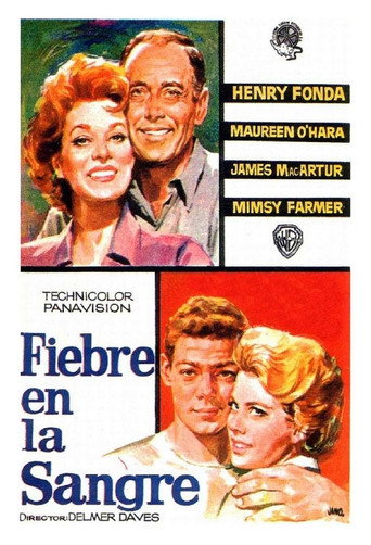 Póster de Spencer's Mountain
