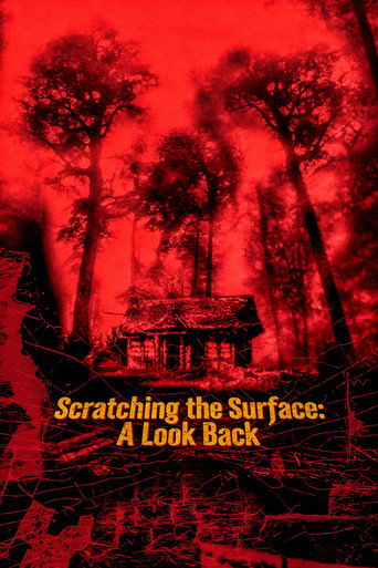 Póster de Scratching the Surface: A Look Back