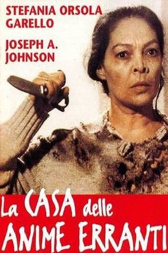 Póster de La casa delle anime erranti
