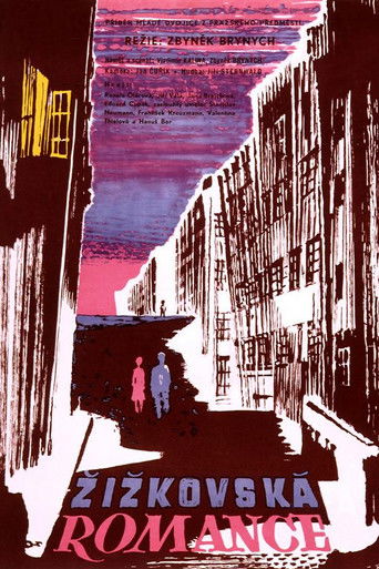 Póster de Žižkovská romance