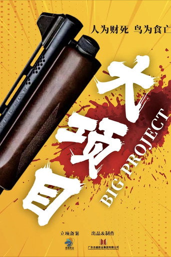 Póster de 大项目