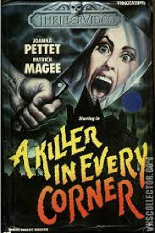 Póster de A Killer in Every Corner
