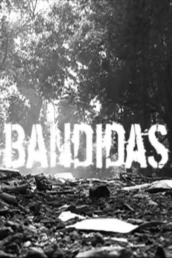Póster de Bandidas