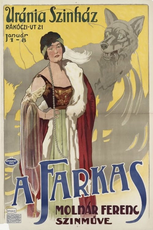 Póster de A farkas