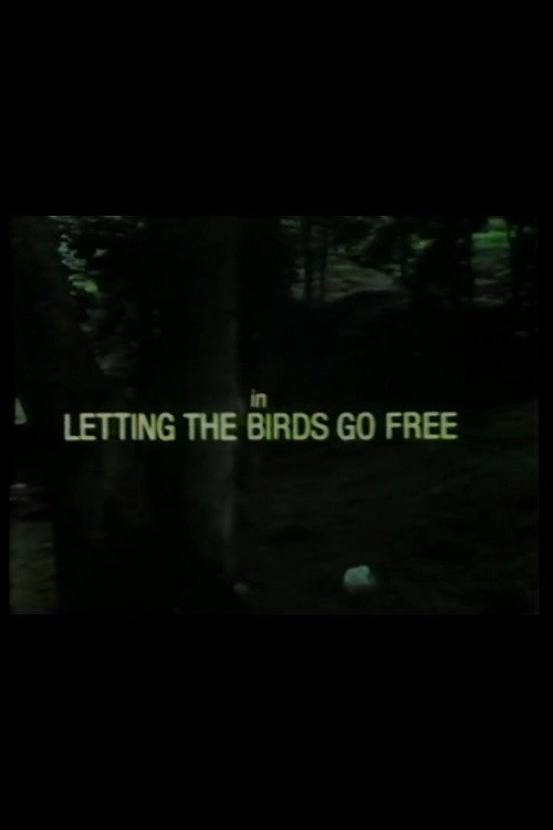 Póster de Letting the Birds Go Free