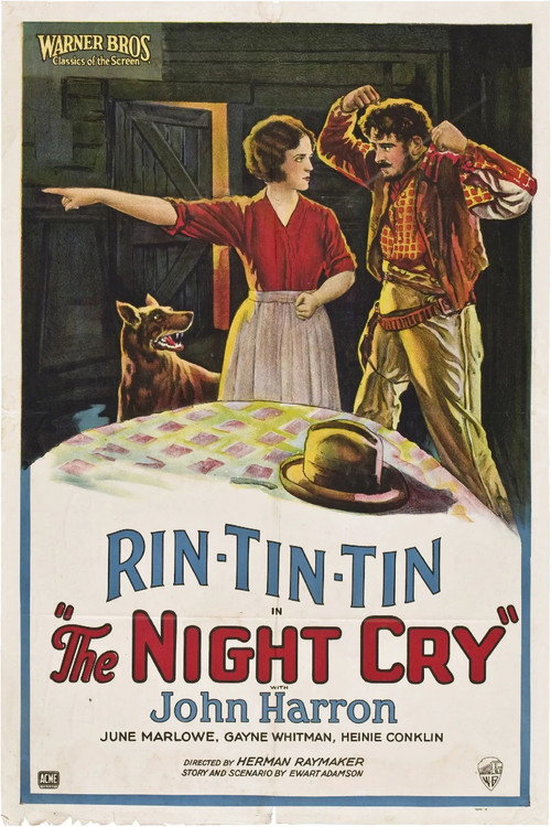 Póster de The Night Cry
