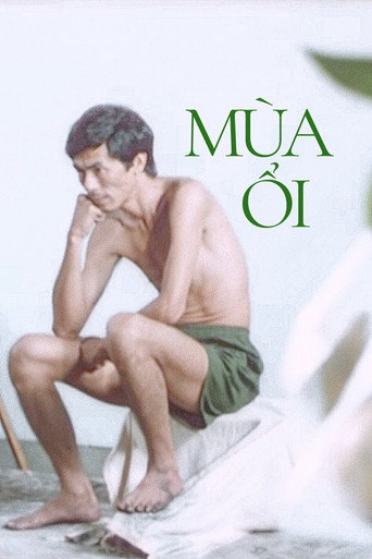 Póster de Mùa Ổi