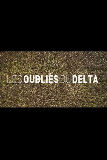 Póster de Les oubliés du Delta