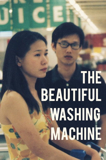 Póster de The Beautiful Washing Machine