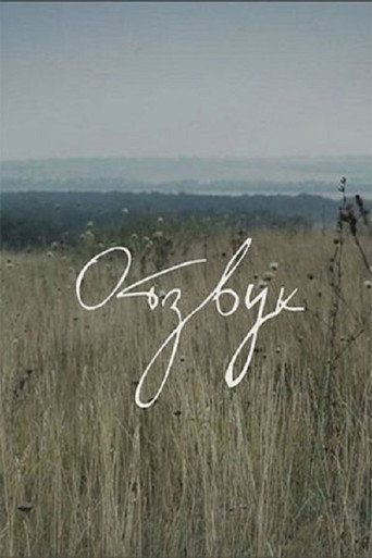Póster de Отзвук