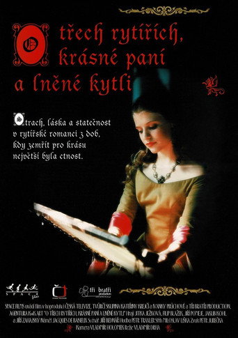 Póster de O třech rytířích, krásné paní a lněné kytli