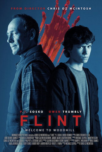 Póster de Flint