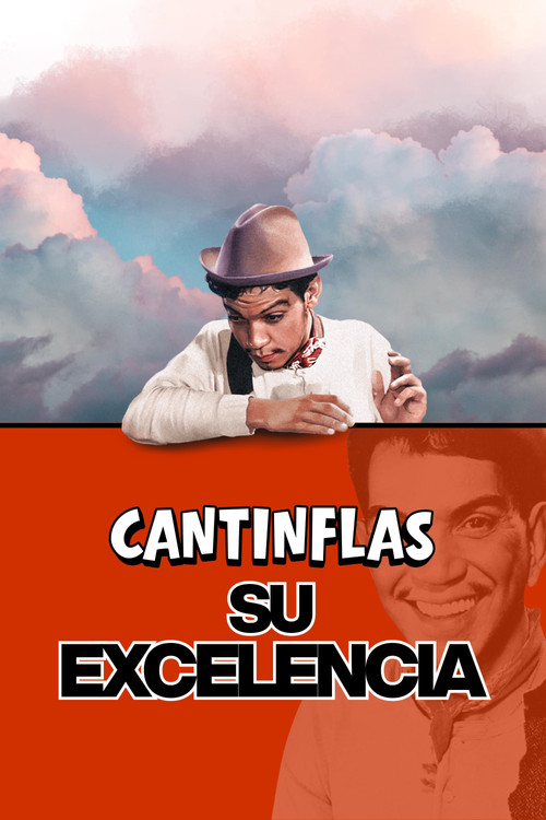 Póster de Su Excelencia