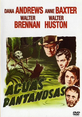 Póster de Swamp Water