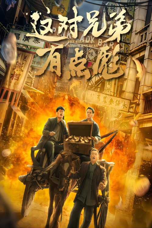 Póster de 这对兄弟有点彪