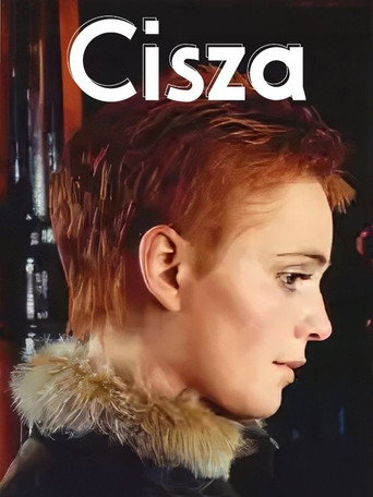 Póster de Cisza