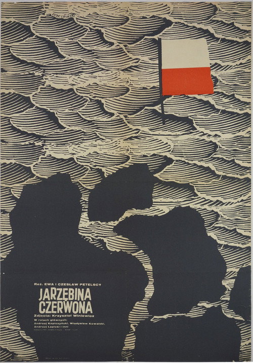 Póster de Jarzębina czerwona