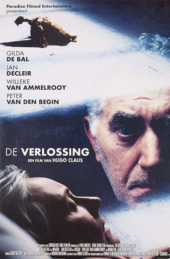 Póster de De Verlossing