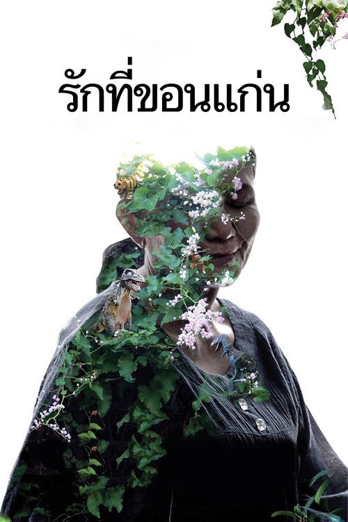 Póster de Cementerio de esplendor