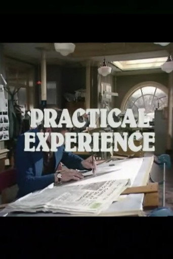 Póster de Practical Experience