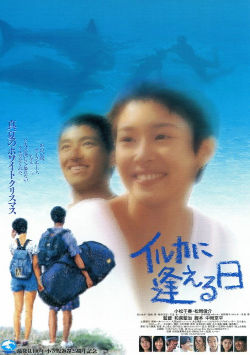 Póster de イルカに逢える日