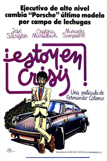 Póster de Estoy en crisis
