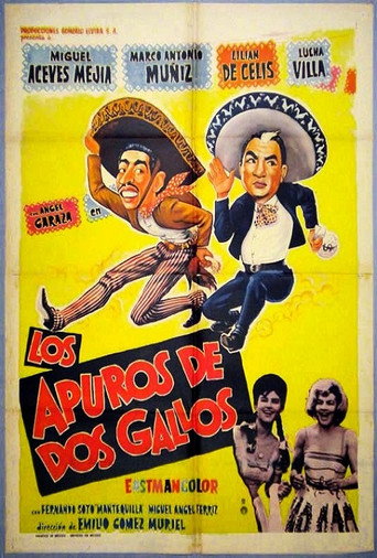 Póster de Los apuros de dos gallos