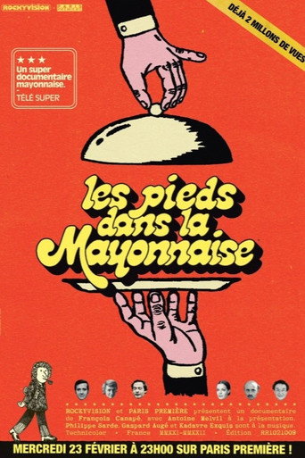 Póster de Les Pieds dans la mayonnaise : Les Irrévérencieux des années 70