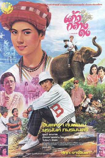 Póster de แก้วกลางดง