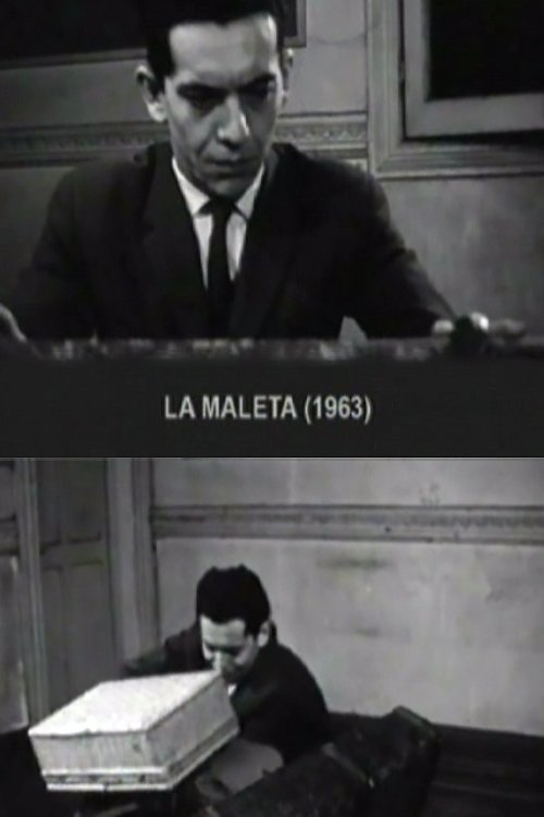 Póster de La maleta