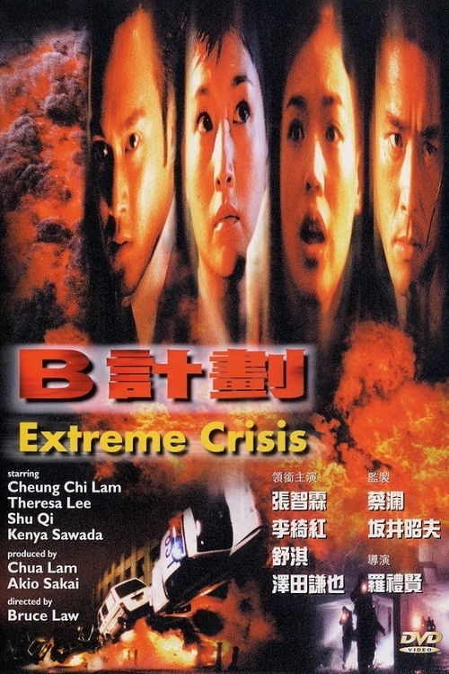 Póster de B計劃
