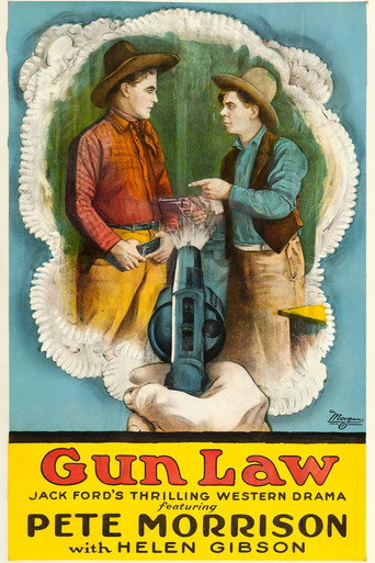 Póster de Gun Law