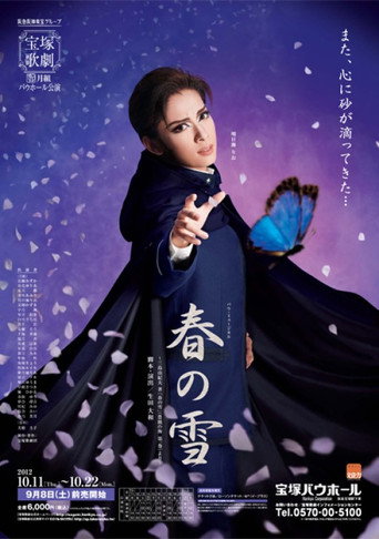 Póster de 春の雪