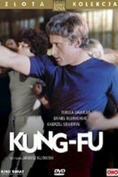 Póster de Kung-fu