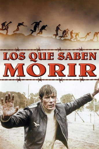 Póster de The McKenzie Break