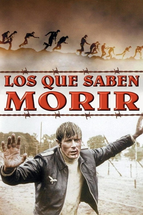 Póster de The McKenzie Break