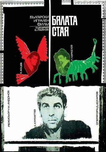 Póster de Бялата стая