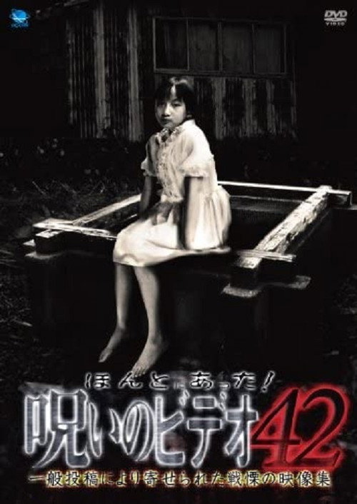 Póster de ほんとにあった！呪いのビデオ42
