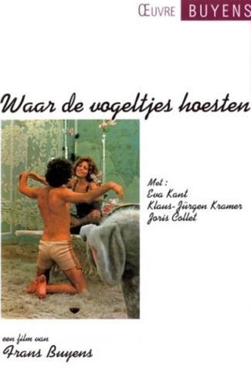Póster de Waar de vogeltjes hoesten