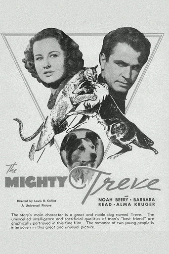 Póster de The Mighty Treve