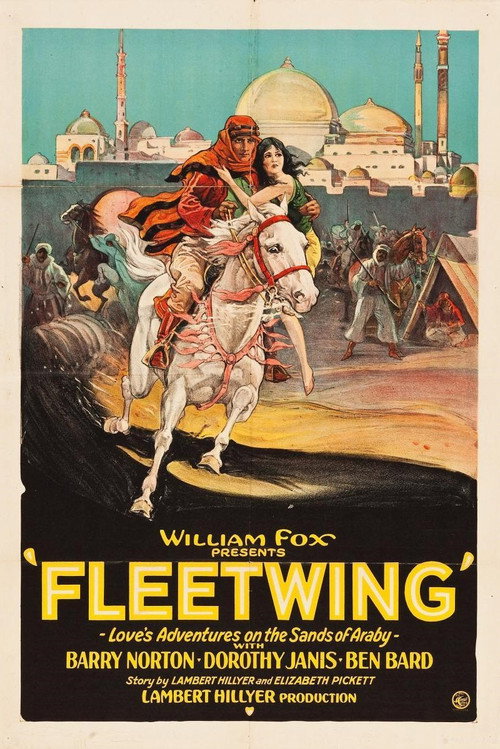 Póster de Fleetwing