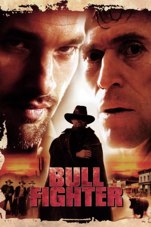 Póster de Bullfighter
