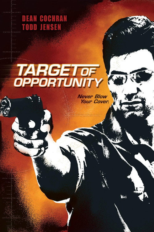 Póster de Target of Opportunity