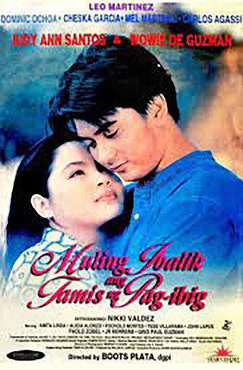 Póster de Muling Ibalik ang Tamis ng Pag-ibig