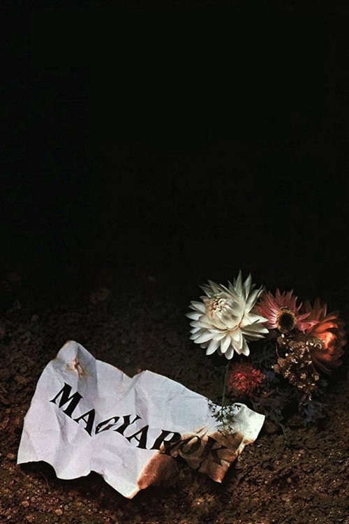 Póster de Magyarok