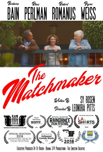 Póster de The Matchmaker