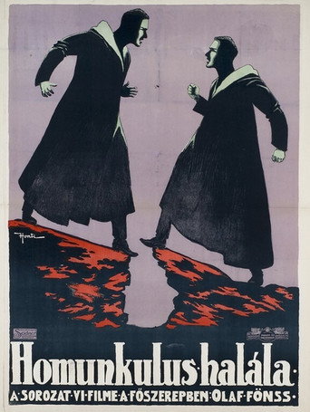Póster de Homunculus