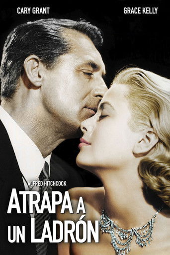 Póster de Para atrapar al ladrón